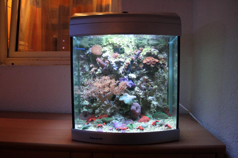 Nano Meerwasseraquarium